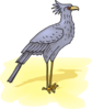 Secretary Bird Clip Art